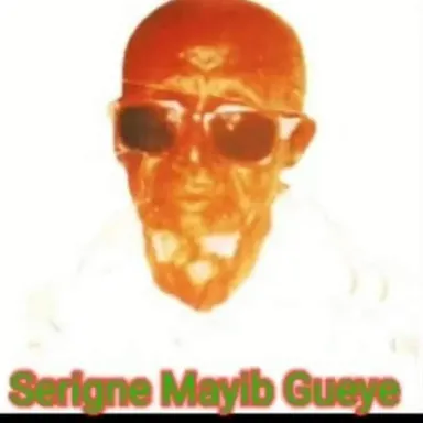 Catégorie de Serigne Mayib Gueye